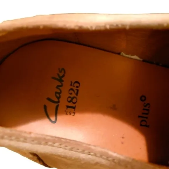 CLARKS Men Suede Shoes