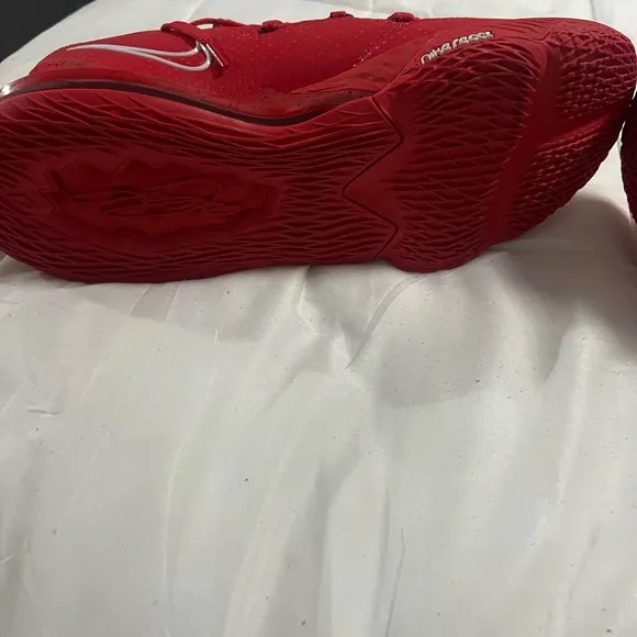Lebron 17 Low Ohio State Exclusive.  Player Sample Size 15 No Box