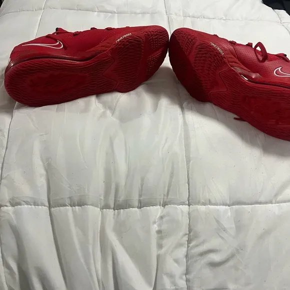 Lebron 17 Low Ohio State Exclusive.  Player Sample Size 15 No Box