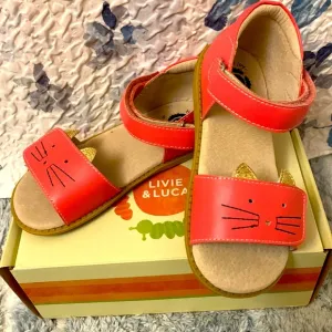 Livie and Luca Tabby Coral sandals size 13