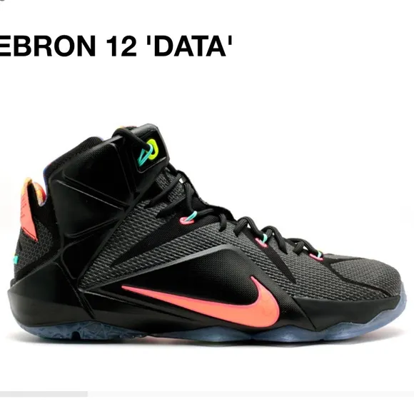 Nike Lebron XII Data Black Sneakers Shoes