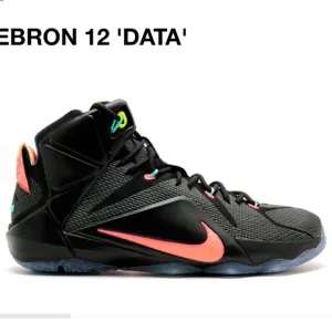 Nike Lebron XII Data Black Sneakers Shoes