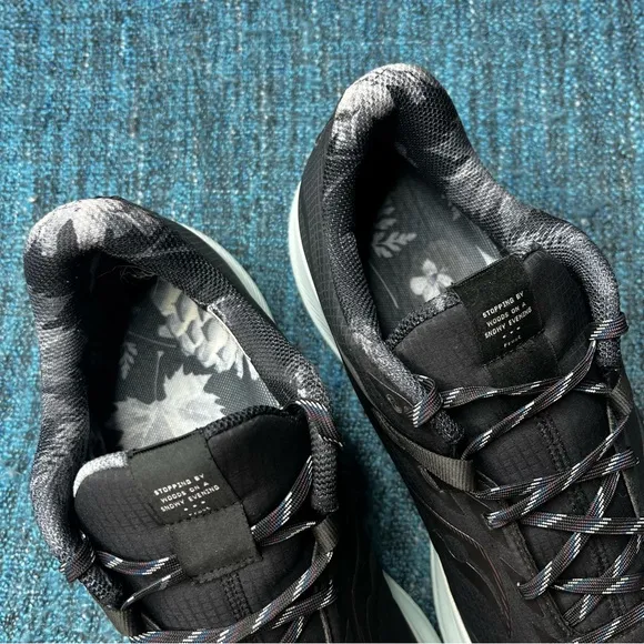 Saucony Ride 15 Runshield Running Shoes in Miles To Go