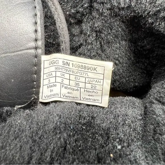 Ugg Butte II Winter Boots